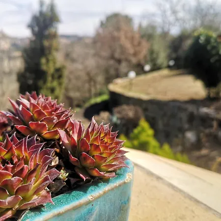 Panorama פיאצה ארמרינה