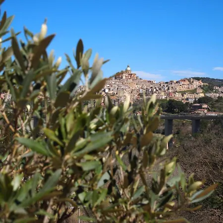 Panorama *