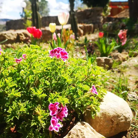 לינה וארוחת בוקר Panorama פיאצה ארמרינה