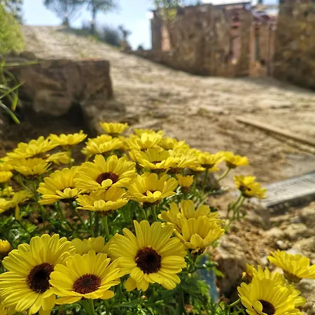 Panorama *