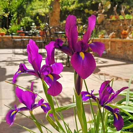 Panorama Bed & Breakfast Piazza Armerina