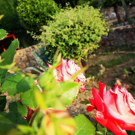 Panorama פיאצה ארמרינה