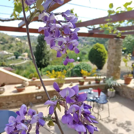 Panorama לינה וארוחת בוקר *